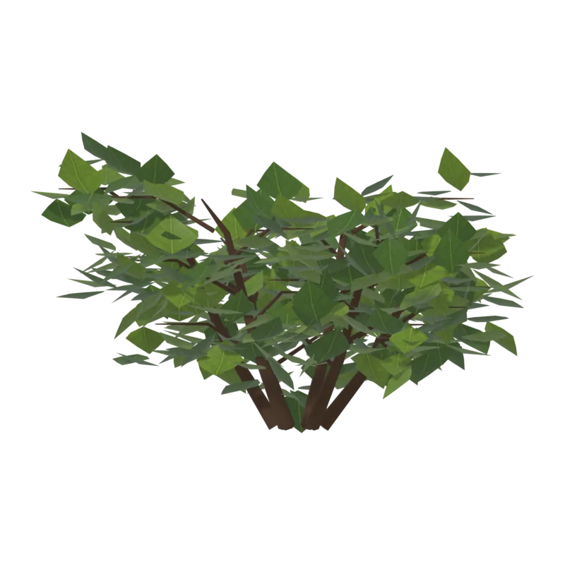Bush0, сзади