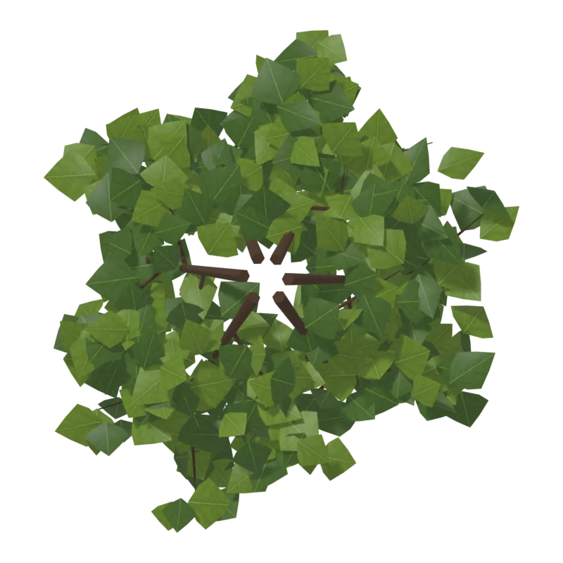 Bush0, снизу