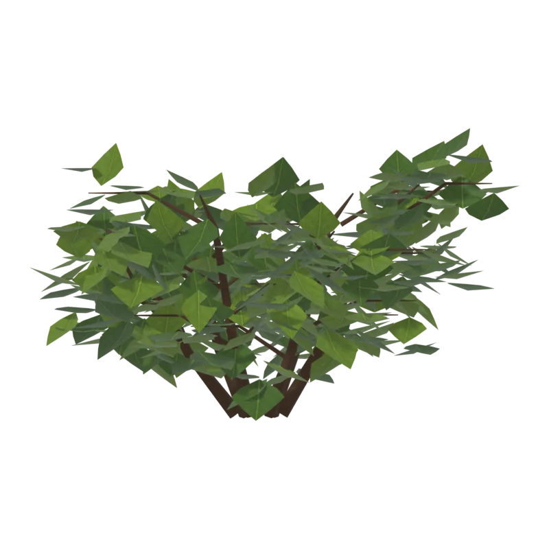 Bush0, спереди