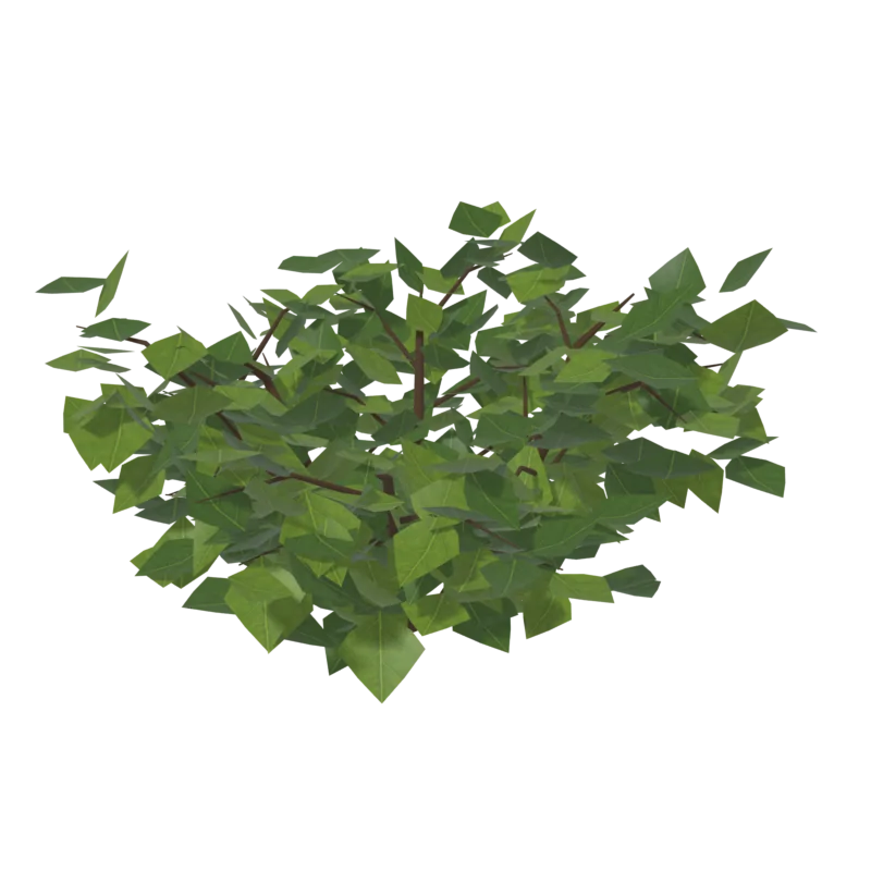Bush0, общий вид