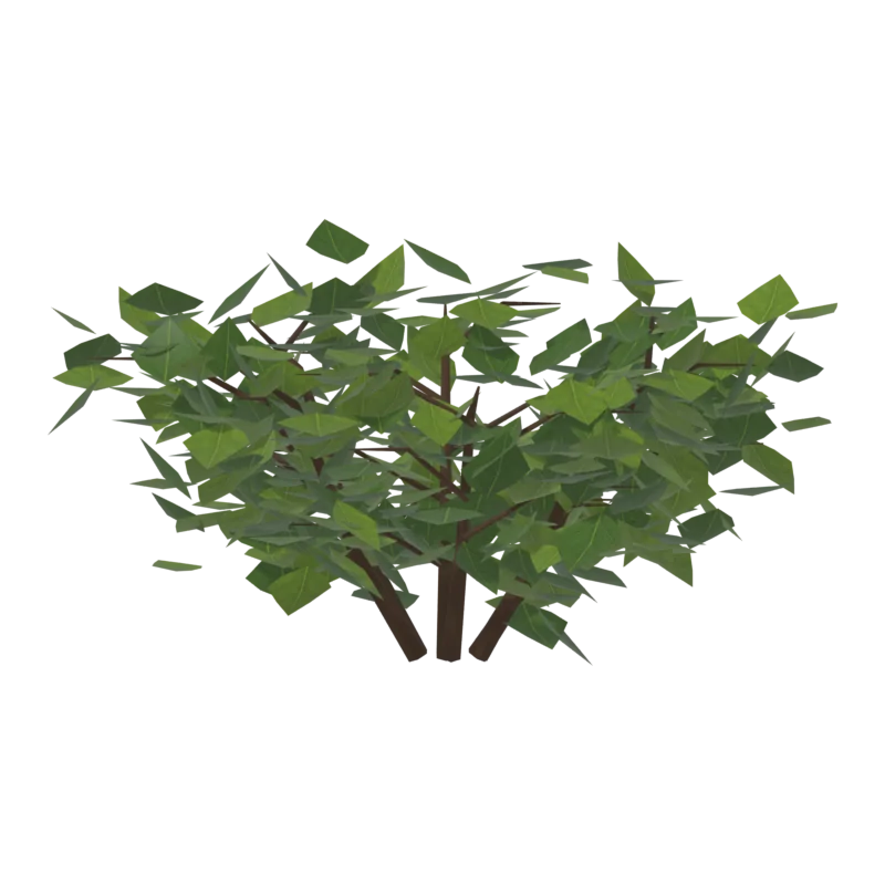 Bush0, слева