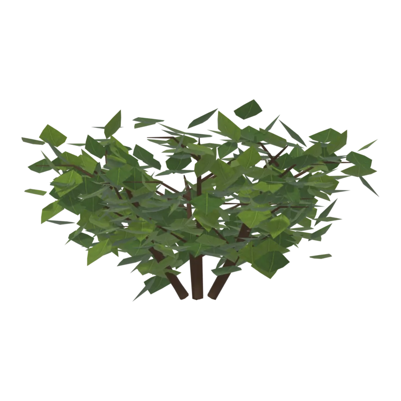 Bush0, справа