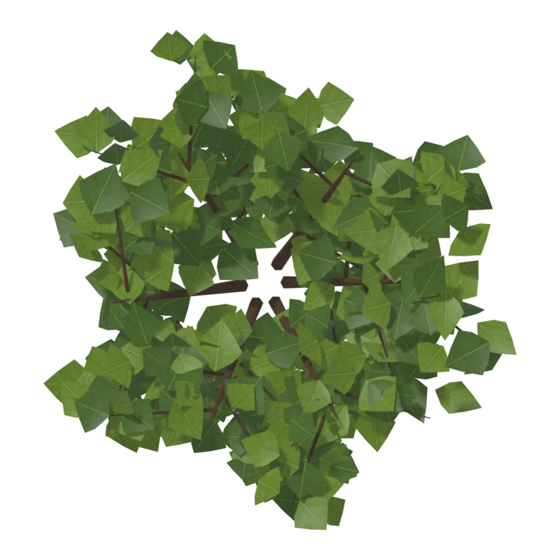 Bush0, сверху