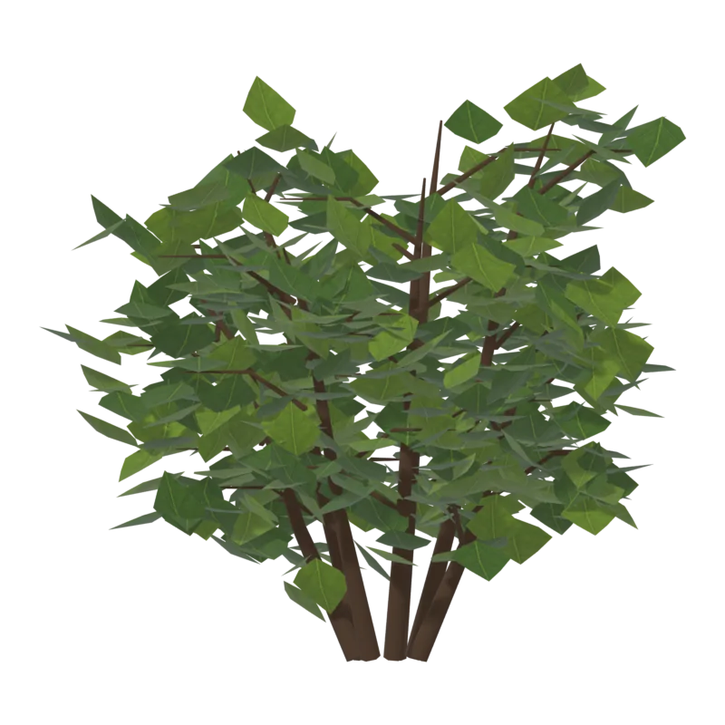 Bush1, сзади