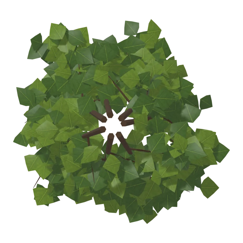 Bush1, снизу