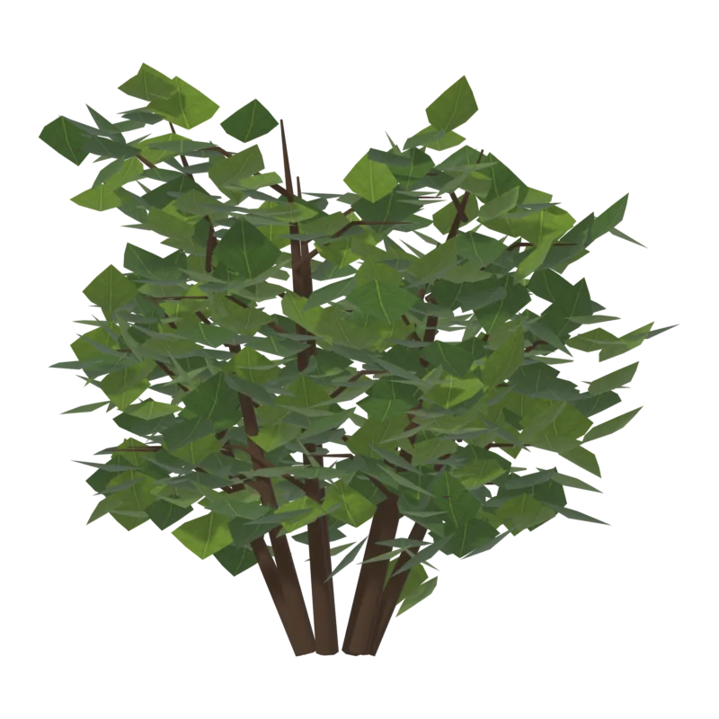Bush1, спереди