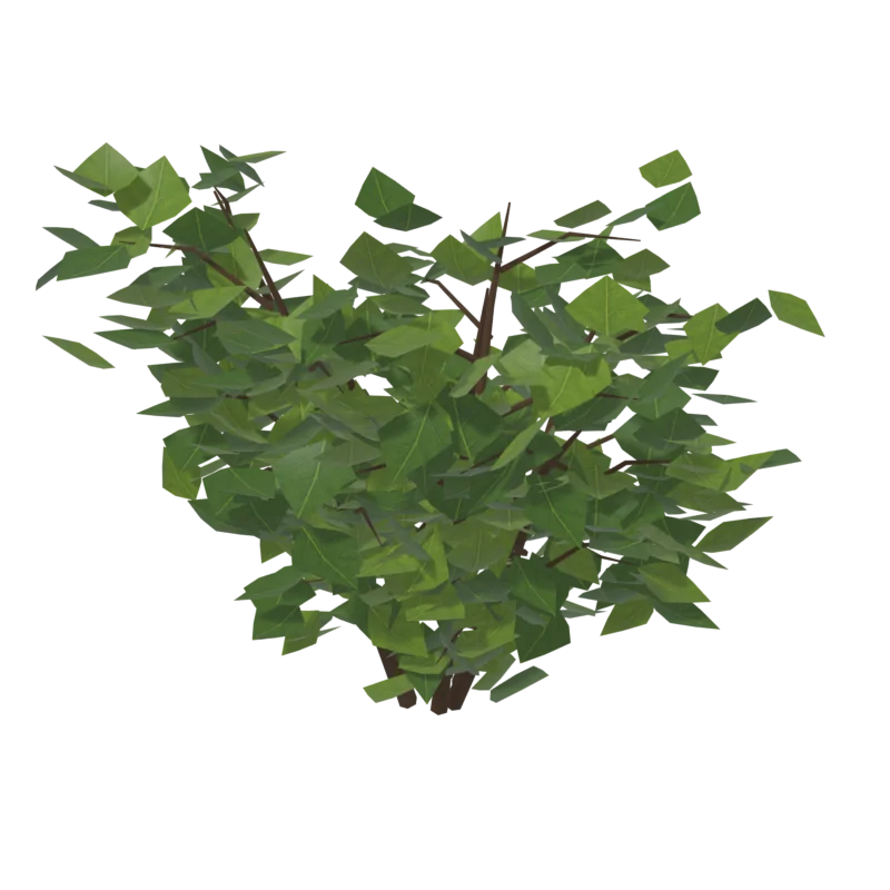 Bush1, общий вид