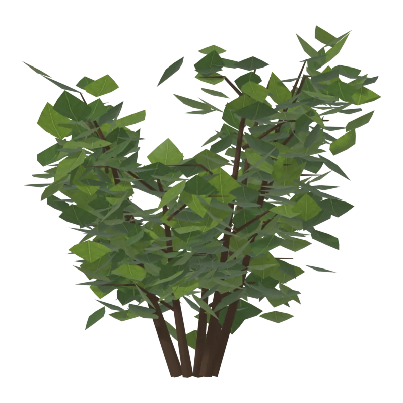 Bush1, слева