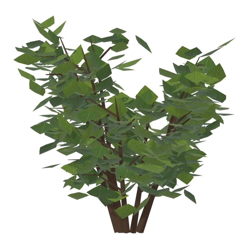 Bush1, справа