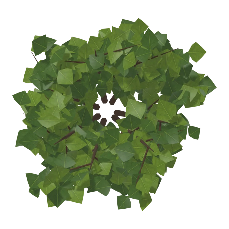Bush1, сверху