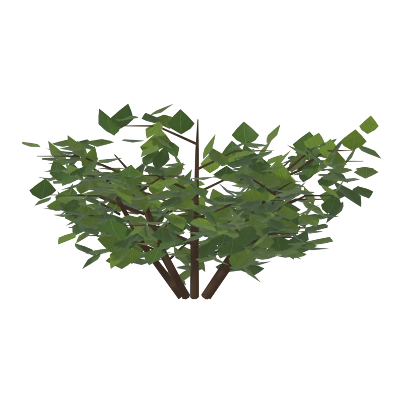 Bush2, сзади