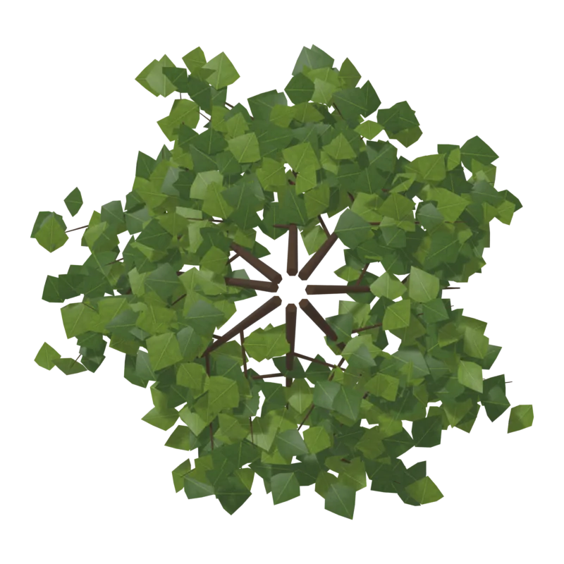 Bush2, снизу