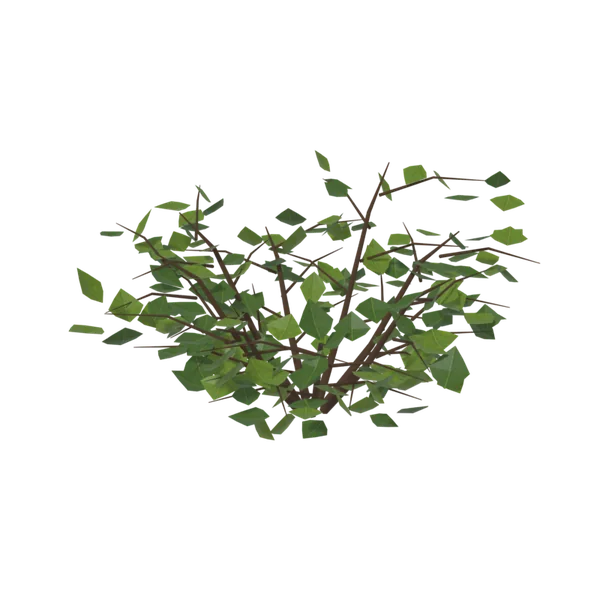 Bush2, LOD1 (стебли + упрощённая листва)