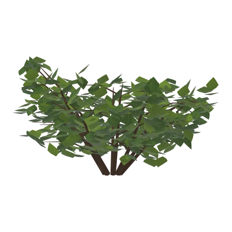 Bush2, слева