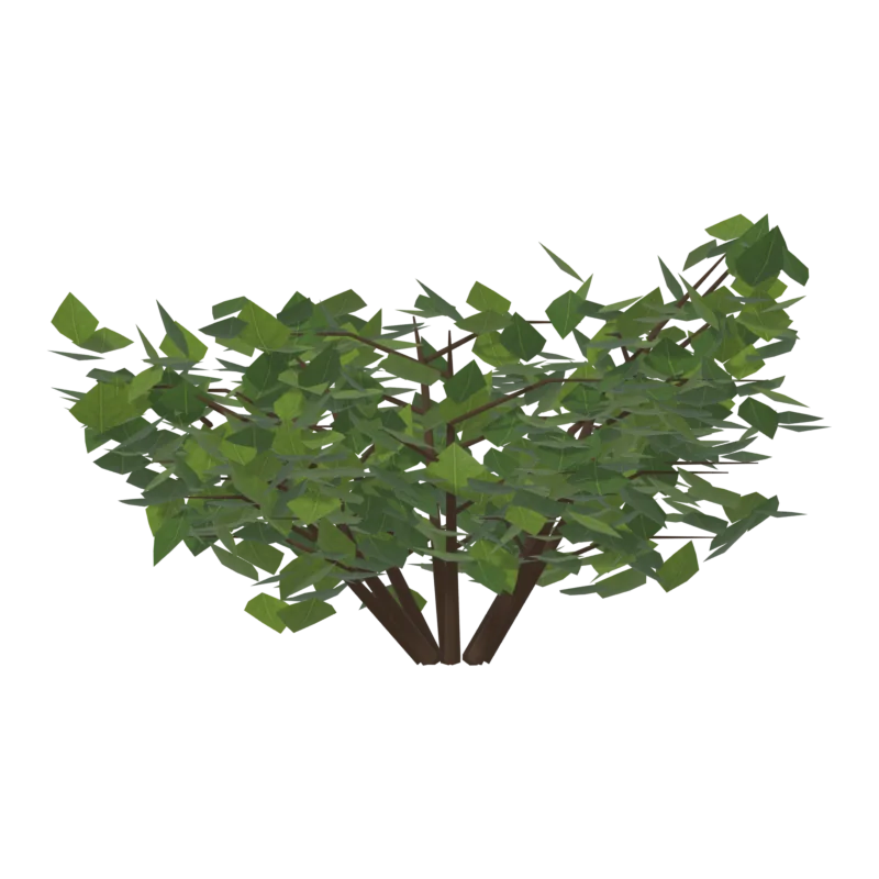 Bush2, справа