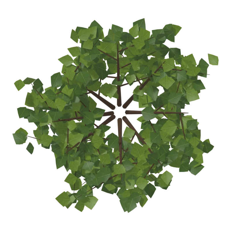 Bush2, сверху